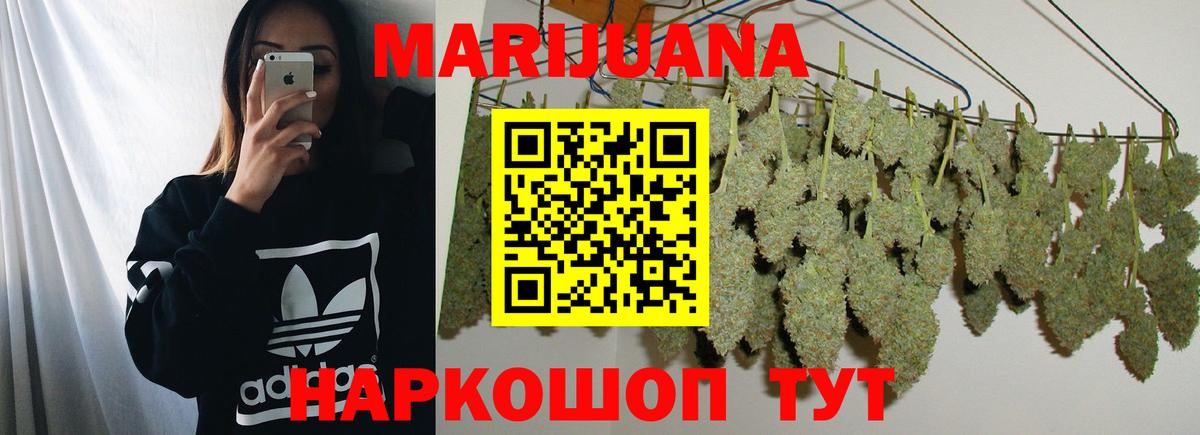 Шишки марихуана семена  Бошки марихуана THC 21%  Вход с VPN  Зеленогорск  Бошки марихуана сатива 